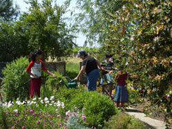 Children in garden